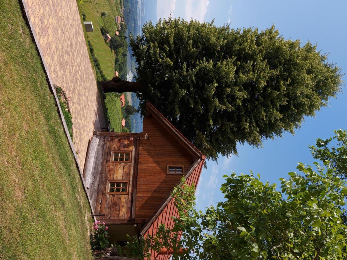 Oldhouse Knezovo Villa Sromlje Exterior photo